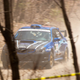 Illustration for article titled Lanark Highlands Forest Rally Photo Dump